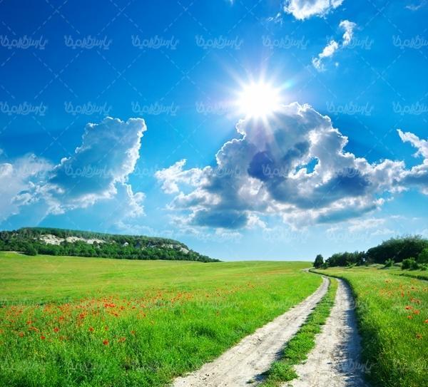عکس سرسبزی بهار