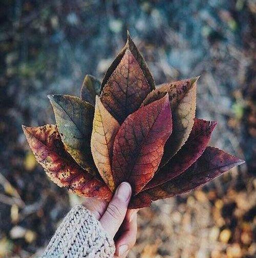 عکس برای پروفایل تلگرام دخترونه