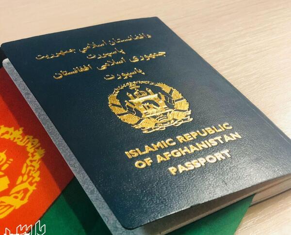 تعویض عکس پاسپورت بعد از کاشت مو