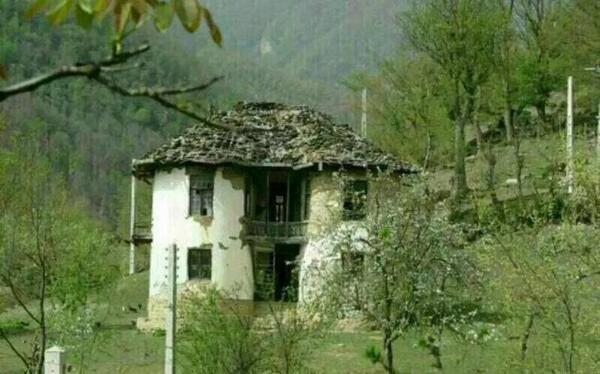 عکس جنگل ترسناک ایران
