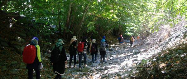 عکس جنگل ترسناک ایران