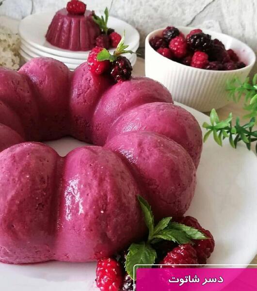 عکس ژله توت سیاه