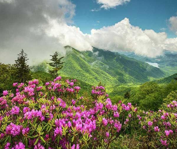 عکس پروفایل منظره شیک