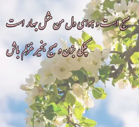 دانلود عکس صبح بخیر بهاری