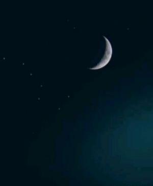 عکس ترسناک از شب