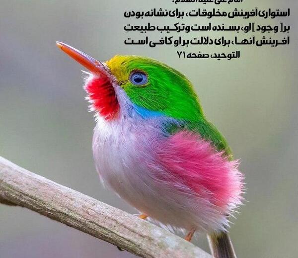 عکس از طبیعت خدایی