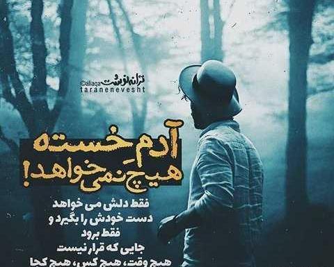 عکس پروفایل دخترونه متن دار شاخ
