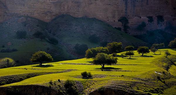 عکس طبیعت دزفول