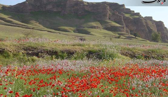 عکس طبیعت دزفول