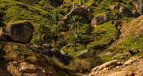 عکس طبیعت دزفول