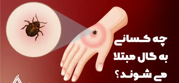 عکس حشره تصاویر بیماری گال