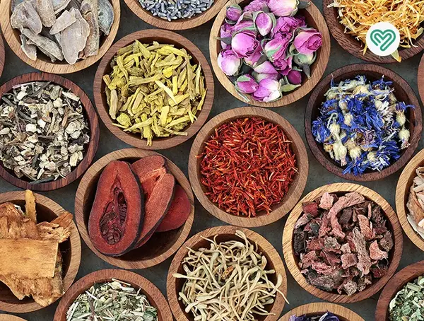 عکس تمام گیاهان دارویی ایران