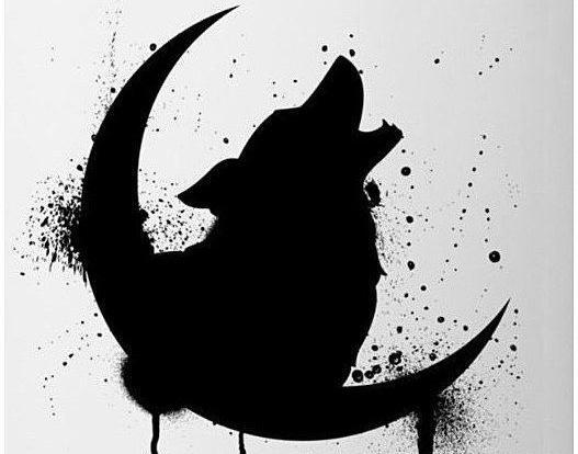 عکس تاتو گرگ ساده