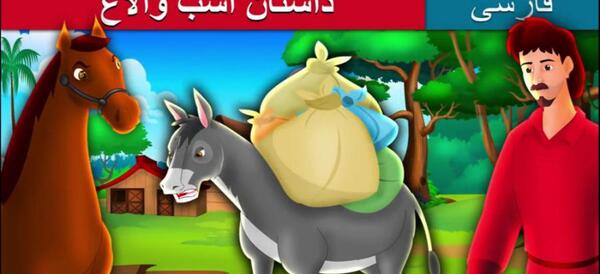 عکس بچه اسب و خر