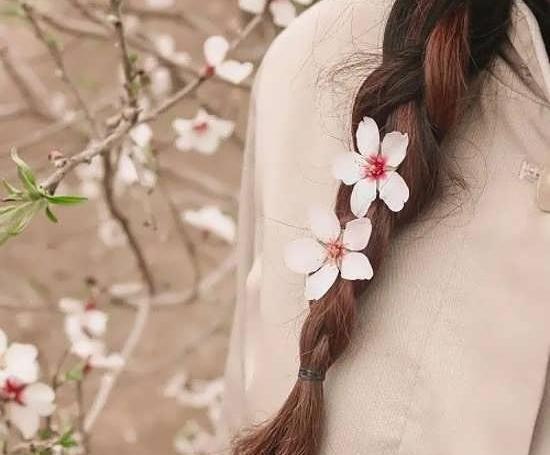 عکس فصل بهار برای پروفایل