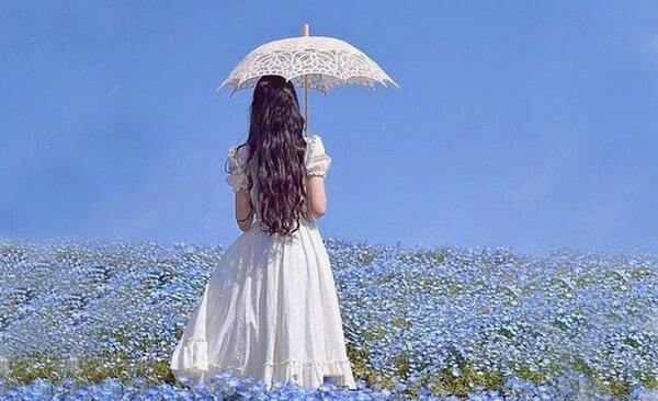 عکس فصل بهار برای پروفایل