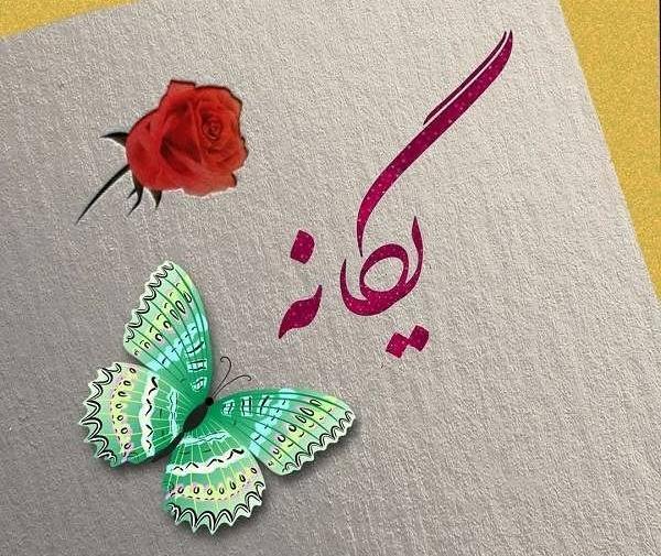 عکس پروفایل یگانه به انگلیسی