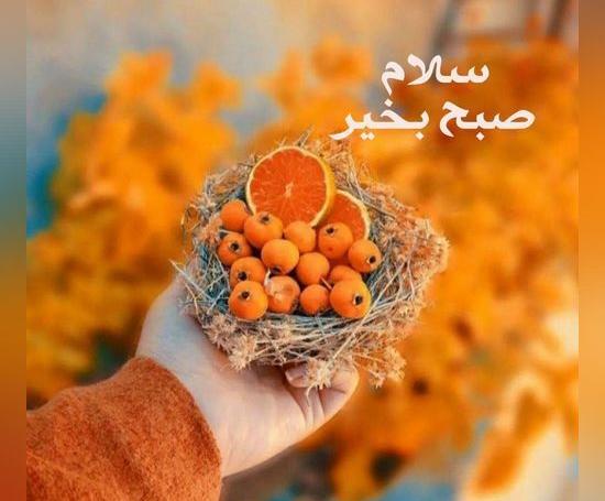 عکس پروفایل صبح بخیر زیبا