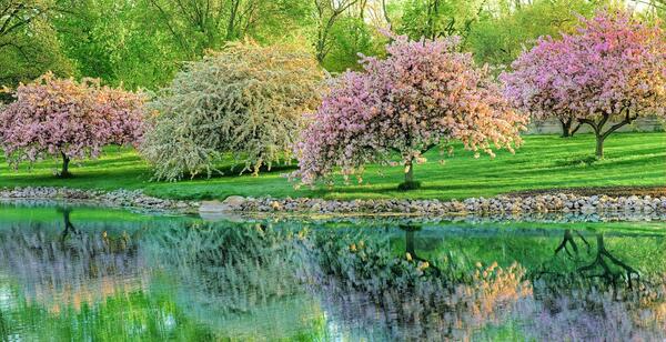 ژست عکس بهاری دونفره