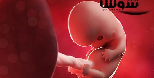 عکس بچه یک ماهه تو شکم مادر