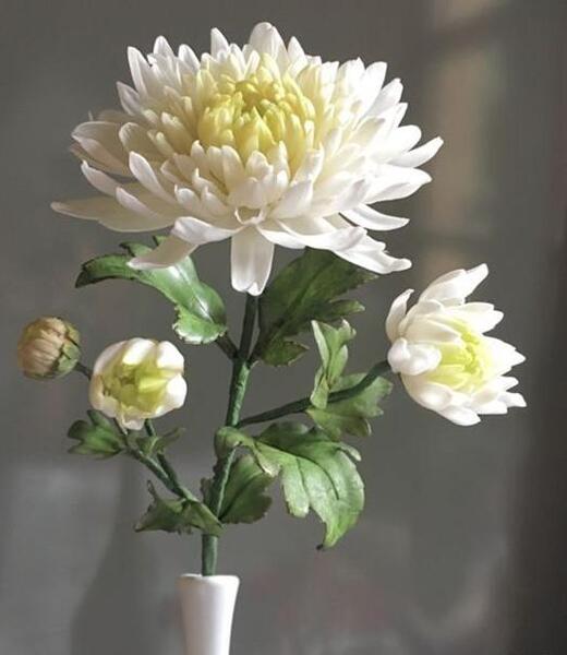عکس گلدان بهاری