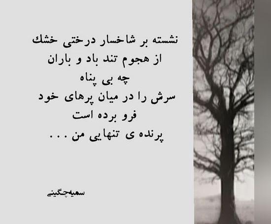 عکس نوشته دار غمگین تنهایی