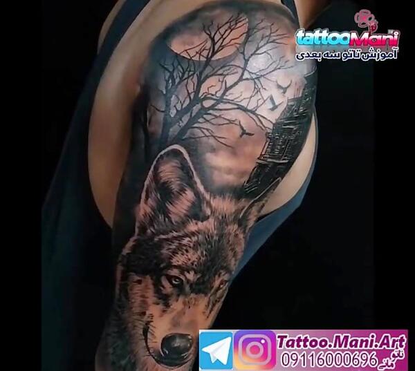 عکس تاتو گرگ روی کاغذ