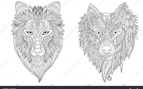 عکس تاتو گرگ روی کاغذ