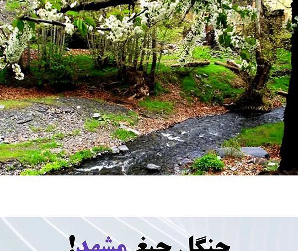 عکس های ترسناک طبیعت