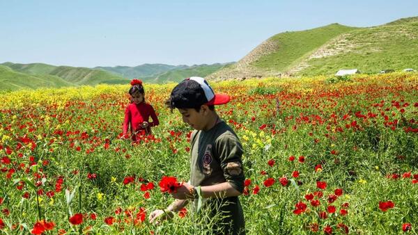 عکس هایی از طبیعت استان گلستان