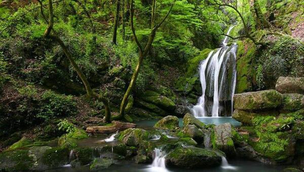 عکس هایی از طبیعت استان گلستان