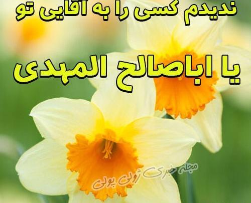عکس پروفایل آغاز امامت امام زمان