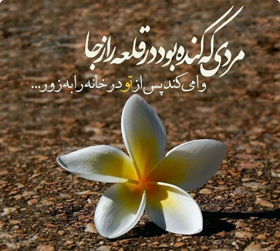 عکس پروفایل فاطمه زهرا شاد