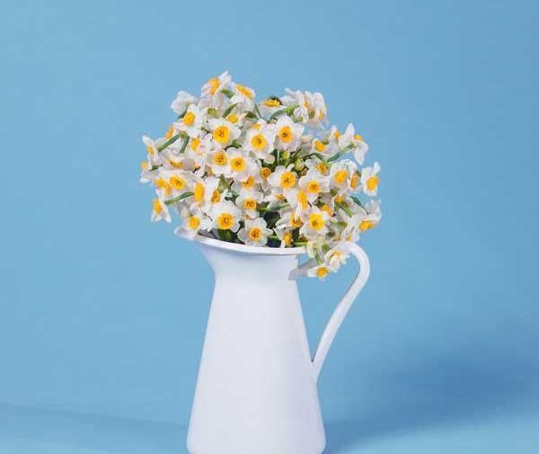عکس گل در گلدان برای پروفایل