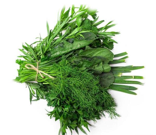 عکس سبزی آش رشته