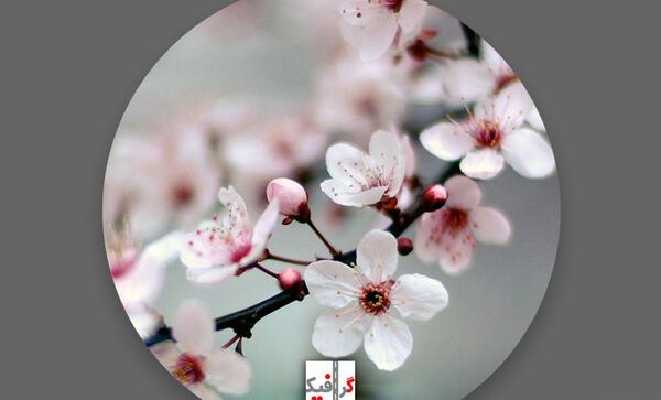 عکس بهاری برای پروفایل اینستا