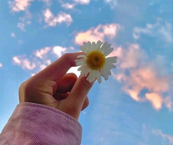 عکس های مفهومی برای پروفایل بدون متن
