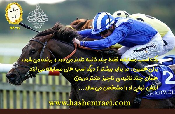 عکس اسب های مسابقه ای