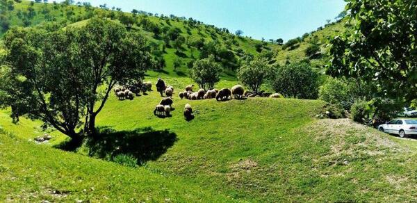 عکس طبیعت گیلانغرب