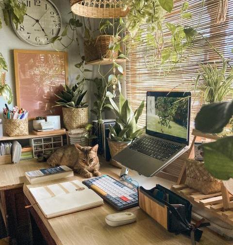 عکس درس خوندن دخترونه برای پروفایل