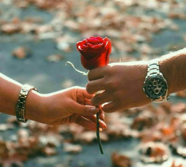 عکس پروفایل گل های عاشقانه