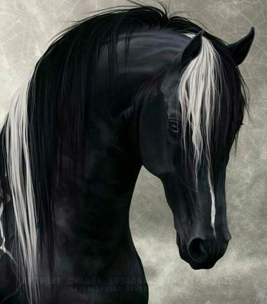 عکس چهره اسب