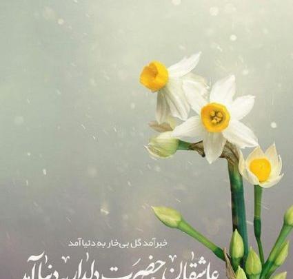 عکس گل امام زمانی
