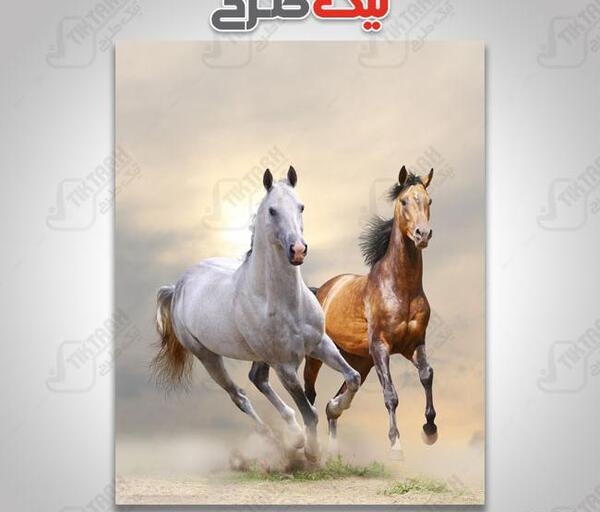 عکس نعل اسب برای تصویر زمینه