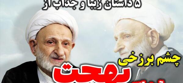 عکس های زیبای آیت الله بهجت