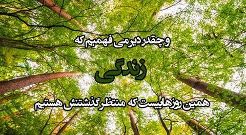 عکس طبیعت تابستان برای پروفایل