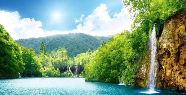 عکس طبیعت تابستان برای پروفایل