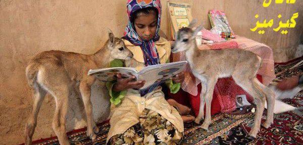عکس مادر آهو