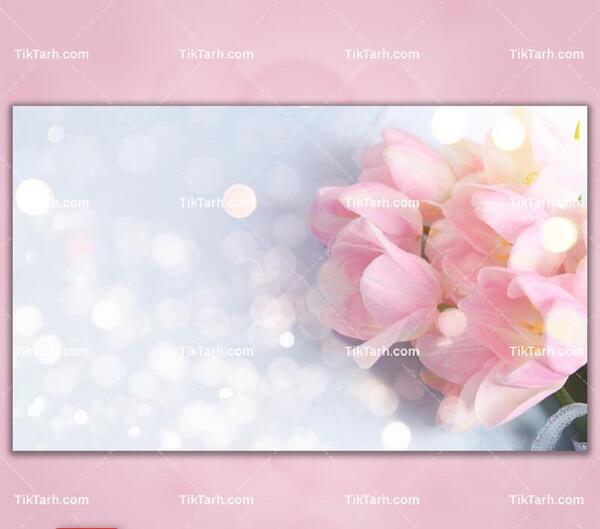 عکس گل صورتی کمرنگ