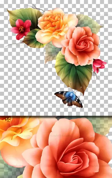 عکس گل های جذاب